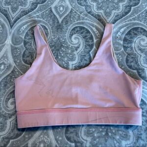 Evolve pink sports bra  